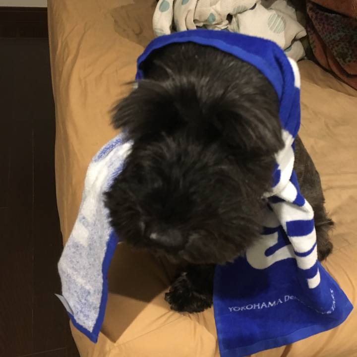 A1985b68 64f4 4c5d 9f61 c12cf5863c95 1509625145806