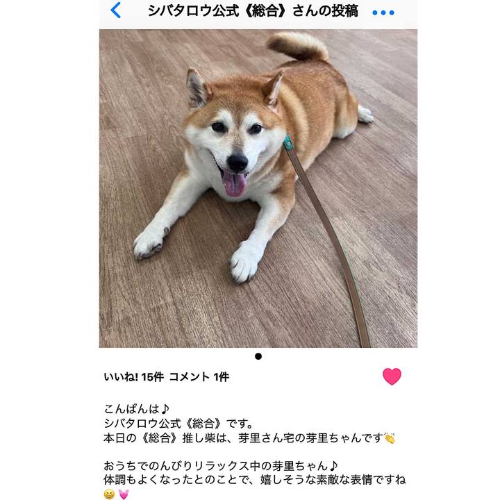 A198bb2c 586e 4fa7 92c9 c85897569da3 1694006172956