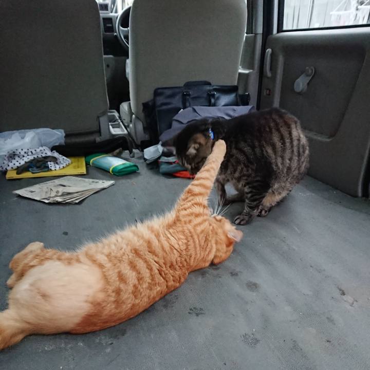 A198c259 e9fb 4766 9ff6 db3f0ccb4c8c 1657878021771