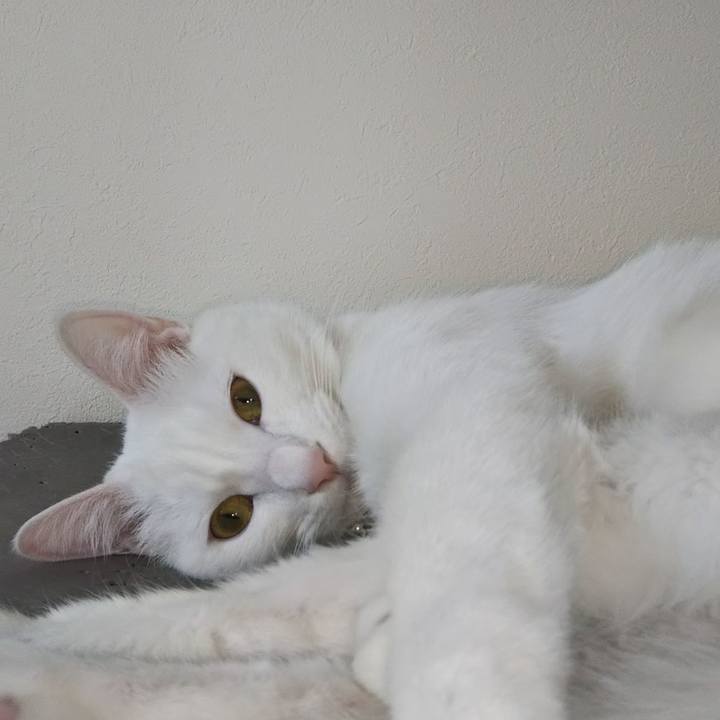 A198c508 0282 4f4b bb6a 0d246b83c49e 1624873375300