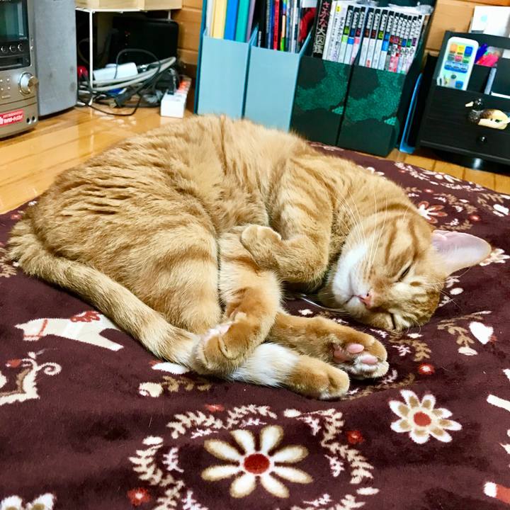 A198ec73 8c01 47b2 a4c8 2f5ca1f9b294 1509584783205