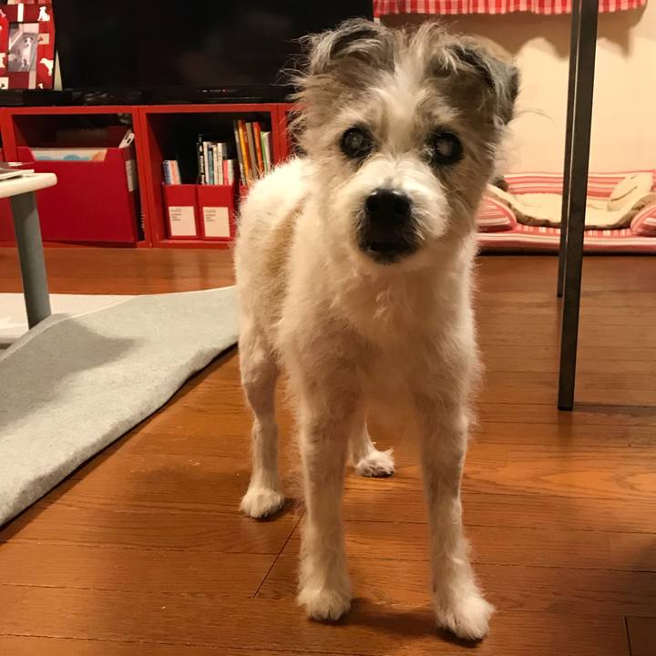 A1991b95 587a 4495 9170 53abb646d29d 1511079867549