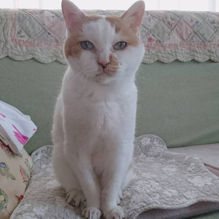 A19923f1 48f3 48ab 8d2a 73ce76239302 1660354841135