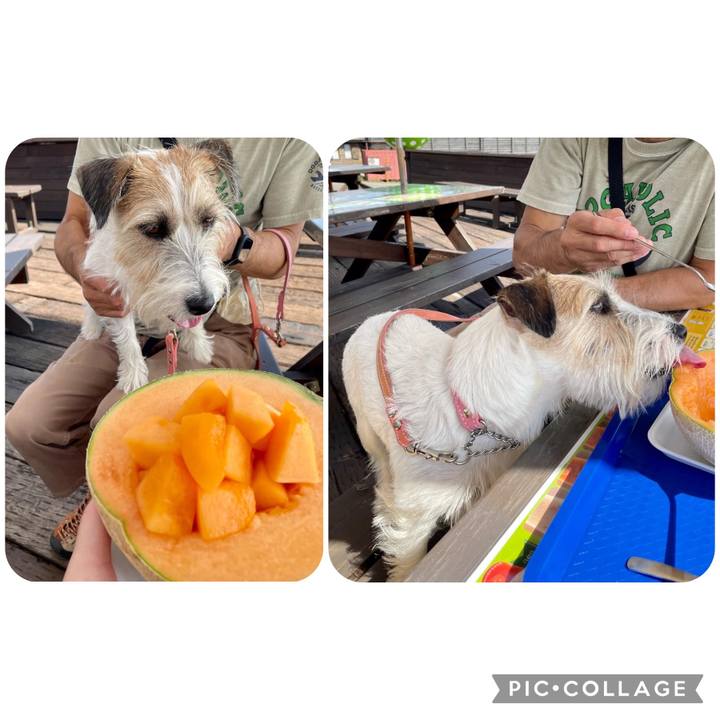 A19963aa 4238 4568 92c4 71b67d896dee 1663073327885