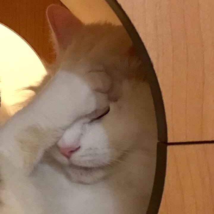 A1998e77 2b68 4570 b5b8 bd9e8965e052 1551439103708