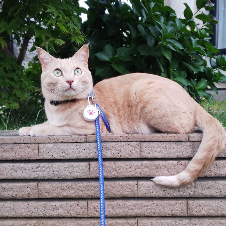 A199b572 6b8d 4c41 9004 290b99ac227c 1631002843785