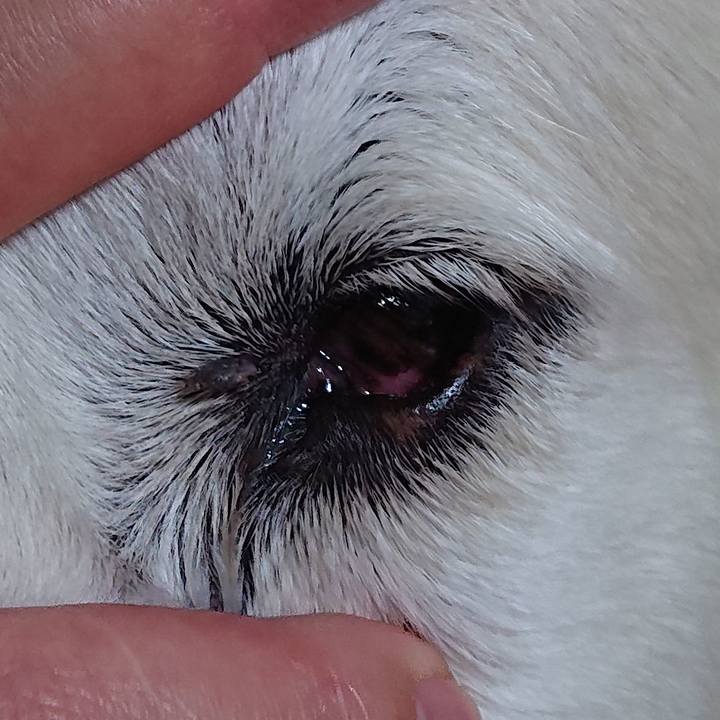 A199b869 ee80 4e29 8046 3d4171e67f4d 1578230590027