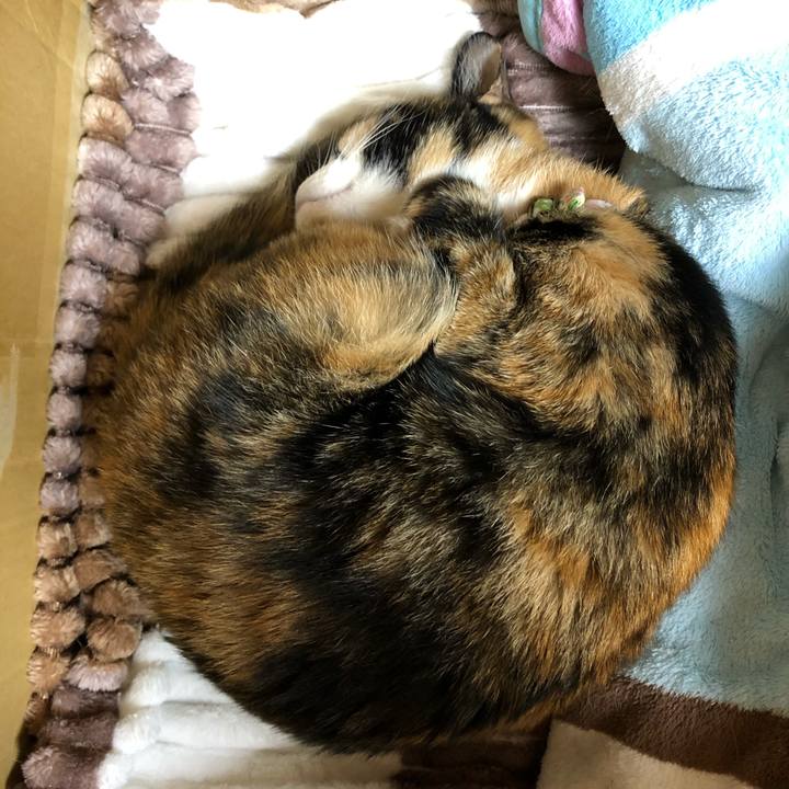 A19a5df3 18f1 41c2 8bca 1b2446a9883b 1610203610932