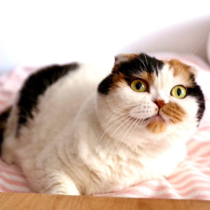 A19a8fc9 8af4 4931 ac1e 148268109fe2 1651365161275