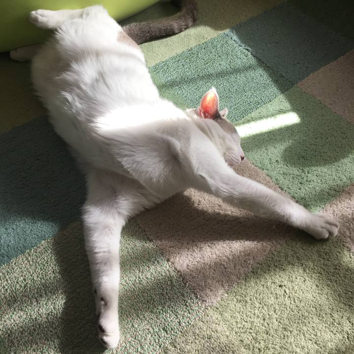 A19a9afd 4712 4912 bf2a b19268cf5bfc 1541911668065