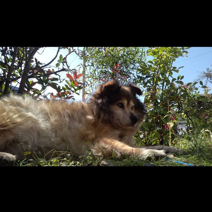 A19a9d42 871f 4adb bc8b e4eb037b01fc 1551495034722