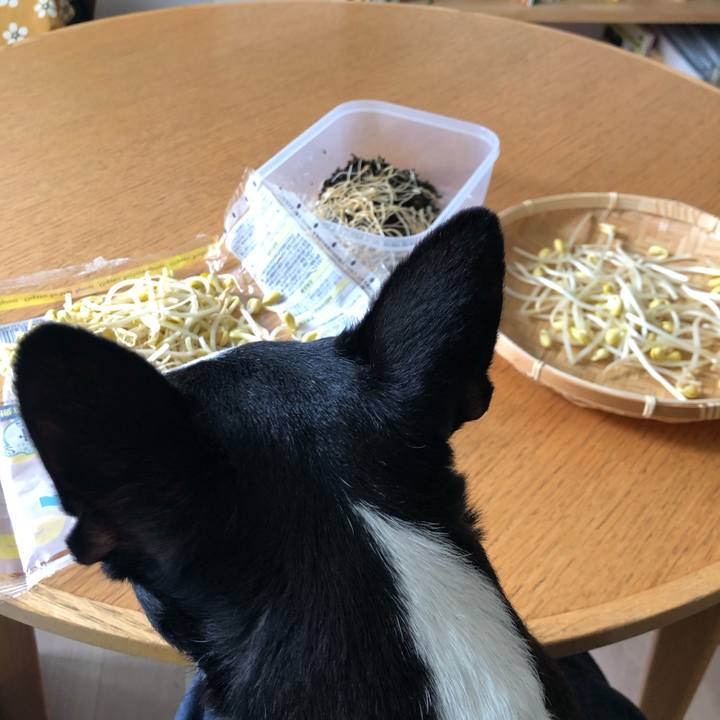 A19ab8c4 f6b3 4926 b1de e601b4546714 1721126885907