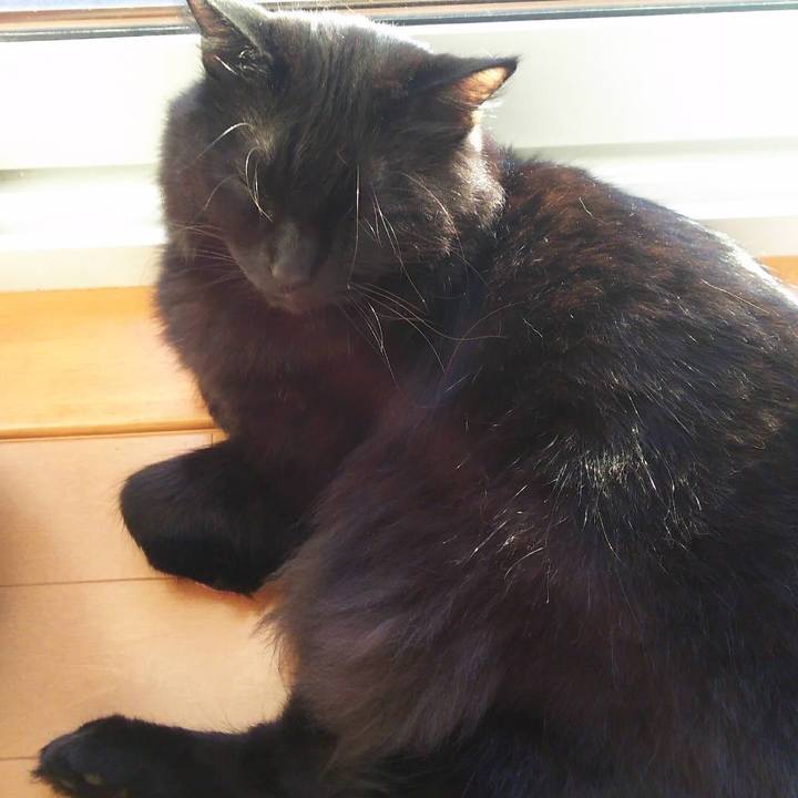 A19ae605 8629 4214 9c0b 5aa20ab05164 1507976393193