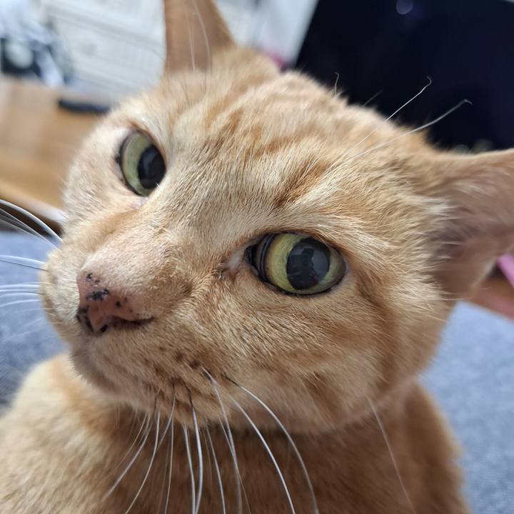 A19af0ca eb65 4708 9f78 1469aade0310 1745830718108