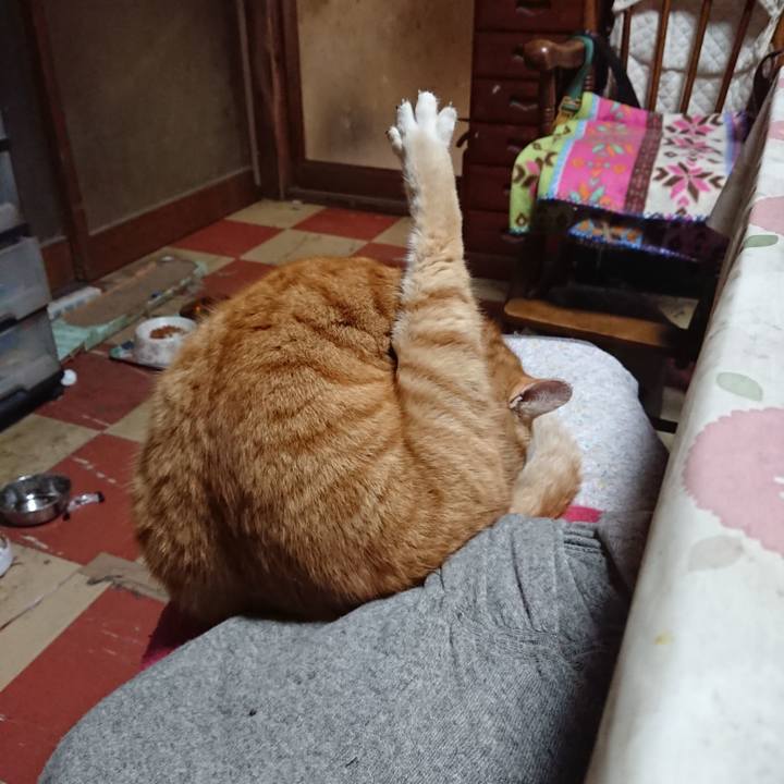 A19afb79 2c91 4f11 a2fa da1aac919a33 1578817129059