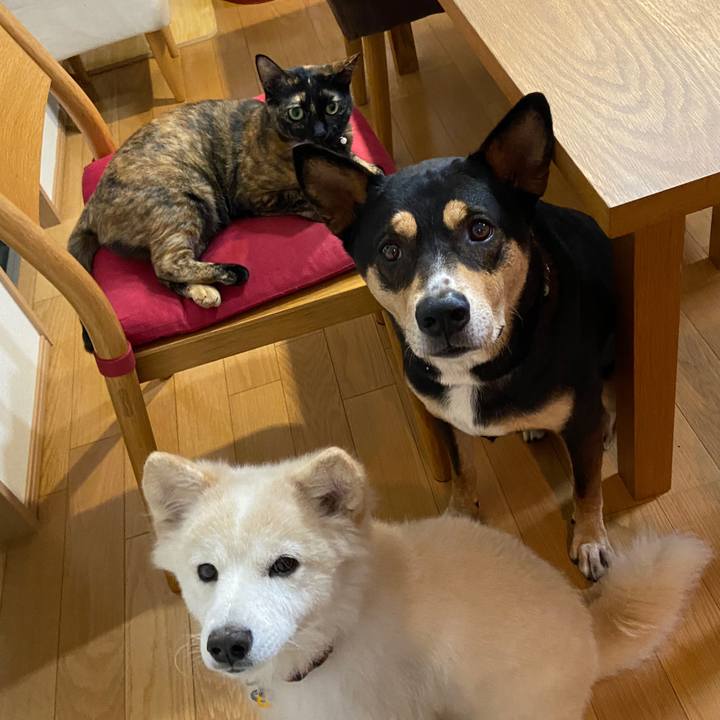 A19b2cfb a286 46fa bd8e 256389d6f762 1665023570835