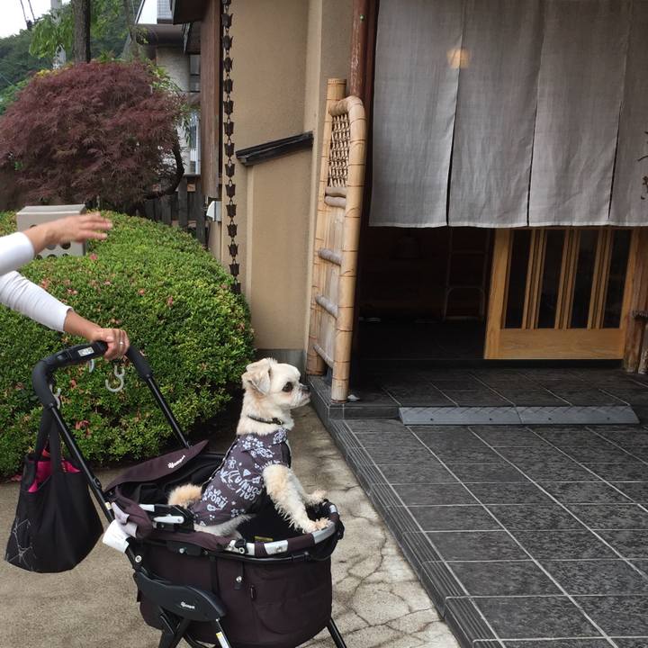 A19b3726 c07c 4b15 9061 979f9f6ae635 1530256110119