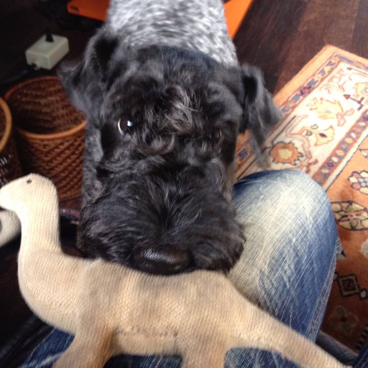 A19b6148 b564 4ba8 81b1 813b00b49dd6 1531789931860