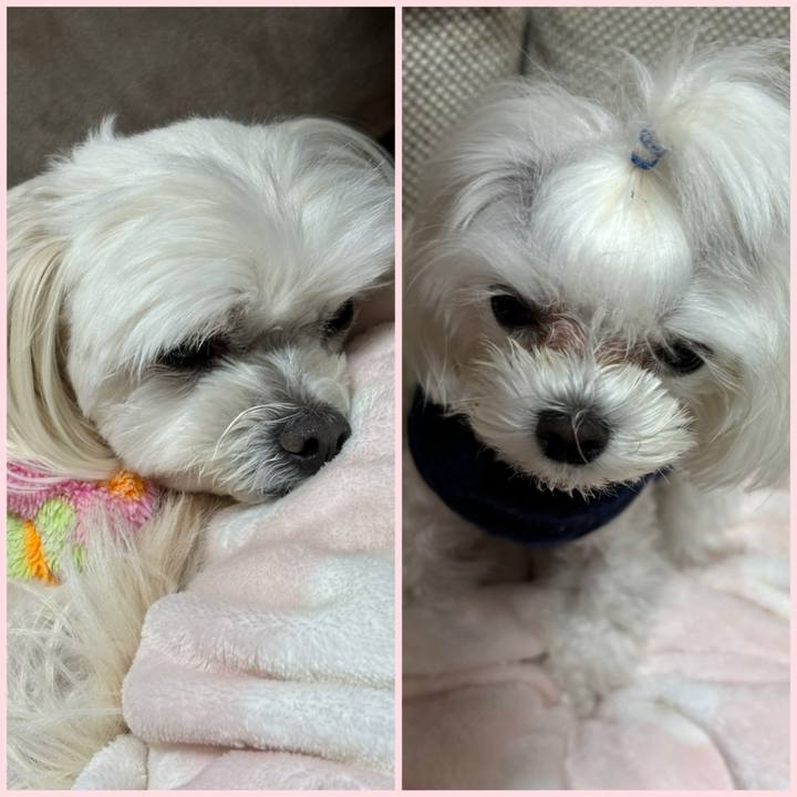 A19b8273 5e16 4bc2 a416 b7445c8e5f4f 1738060029321