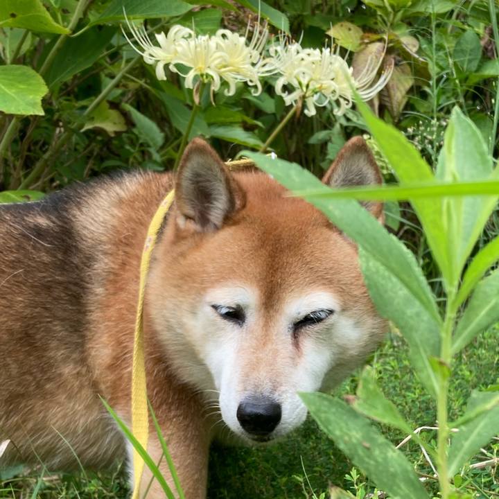 A19b931b 58aa 4b64 9f29 3453108794d5 1663125446064