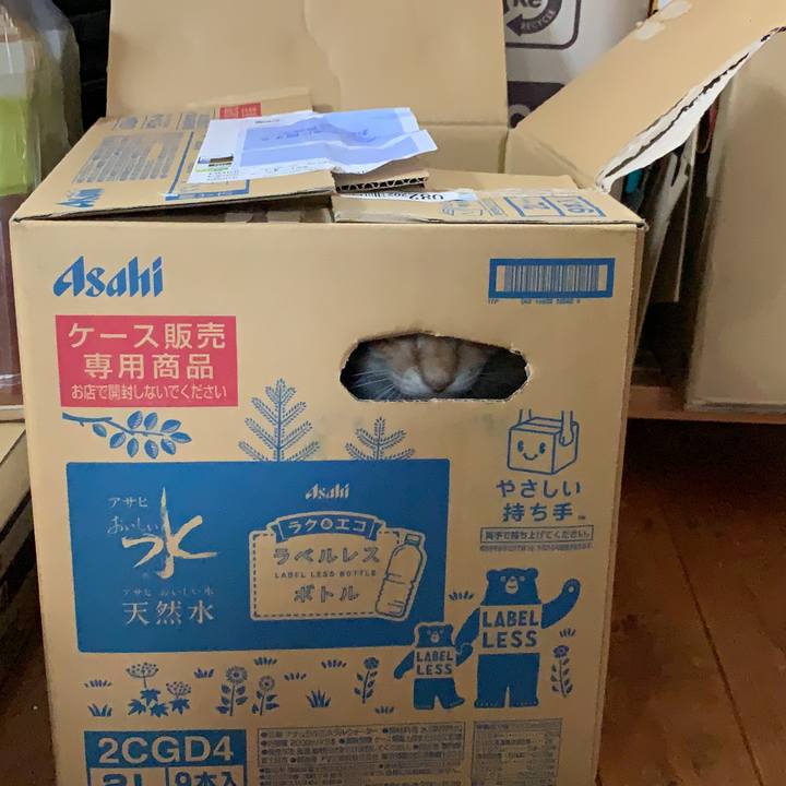 A19b9d88 a30b 4307 9d24 3685f3b53a0b 1628466004266