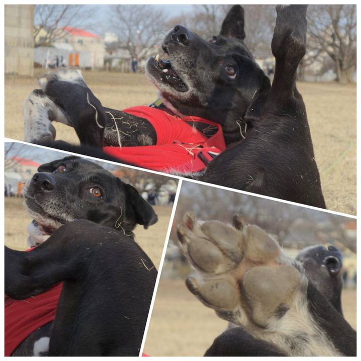 A19ba571 e8cc 40f6 9a12 f3ff73efae97 1675732905867