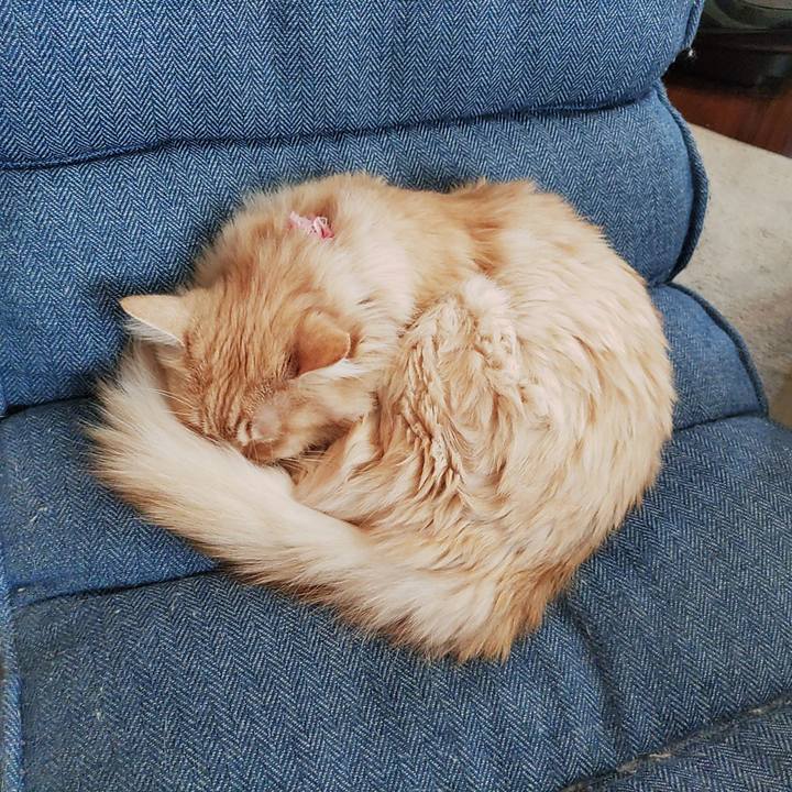 A19ba7cd 8038 4617 a82c 4e2c3953624f 1672450490303