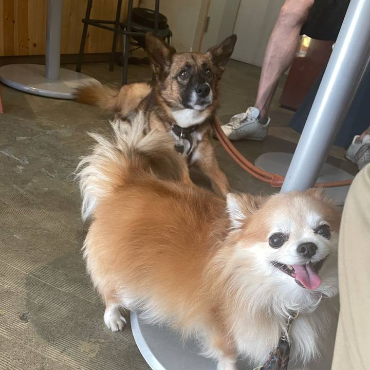 A19bb0d2 6c26 4b80 b624 2fbdff1931da 1760831224161