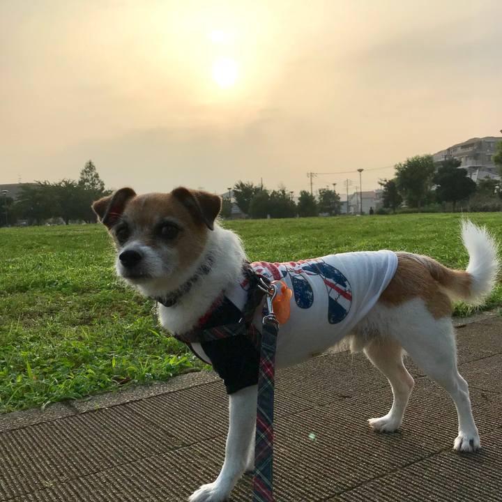 A19bbcf7 bd36 4daa b39b a00a78c4870d 1564348828266