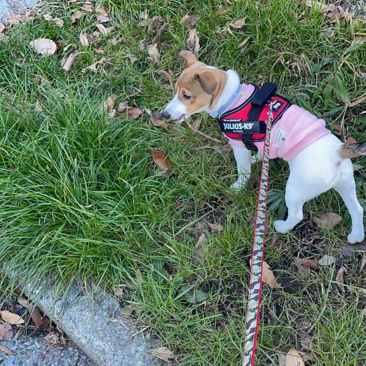 A19bd6dd 5fa9 4c9e 8c0c ca1678d7056e 1671355688983