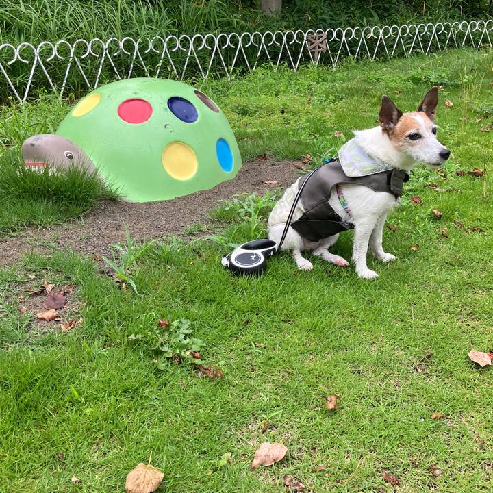 A19c0e5a 2d8a 4feb a24b 892cf42dd9ce 1722381268054