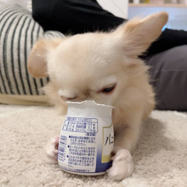 A19c0f03 6d69 40eb 92e1 d68c7c6149a9 1730633179475