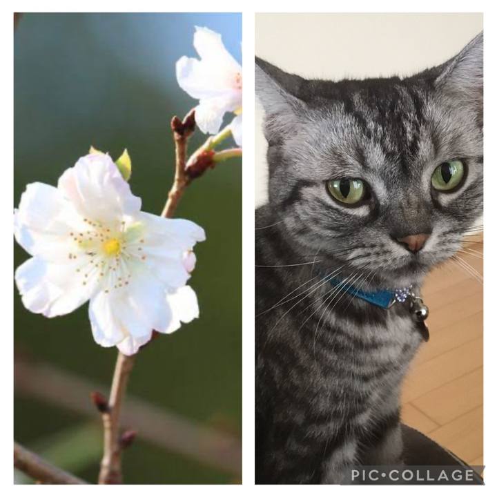 A19c2207 e993 40bc 8507 f43545d788f1 1764533329405