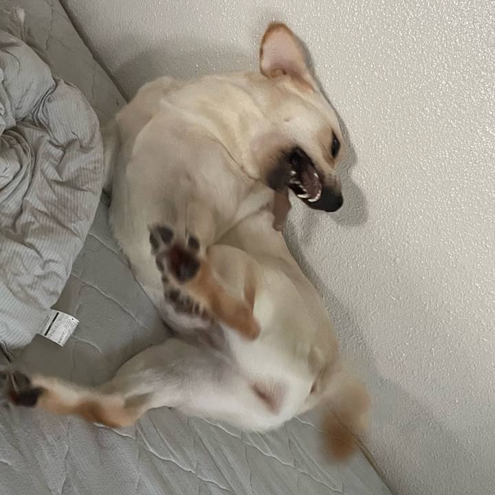 A19c279d 4eec 46ef 9564 6af6e9045bf9 1658872781305