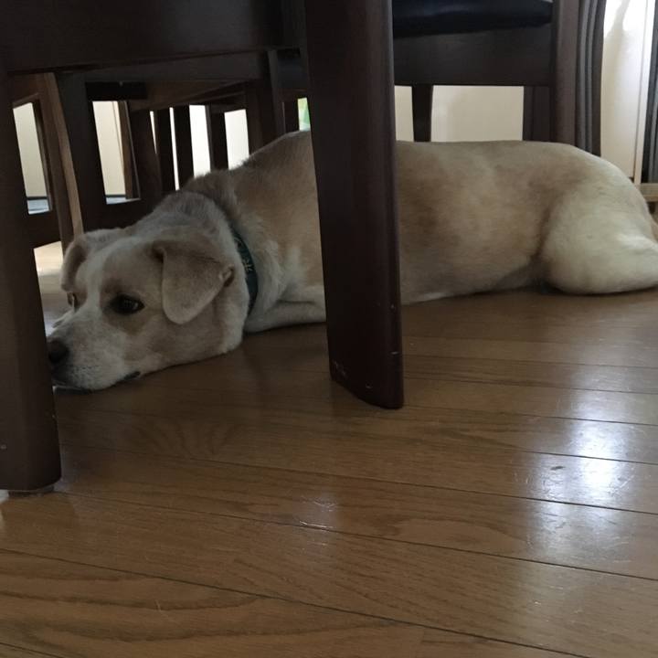 A19c5034 5e0f 4532 9261 c3828a3a5a67 1534390883966