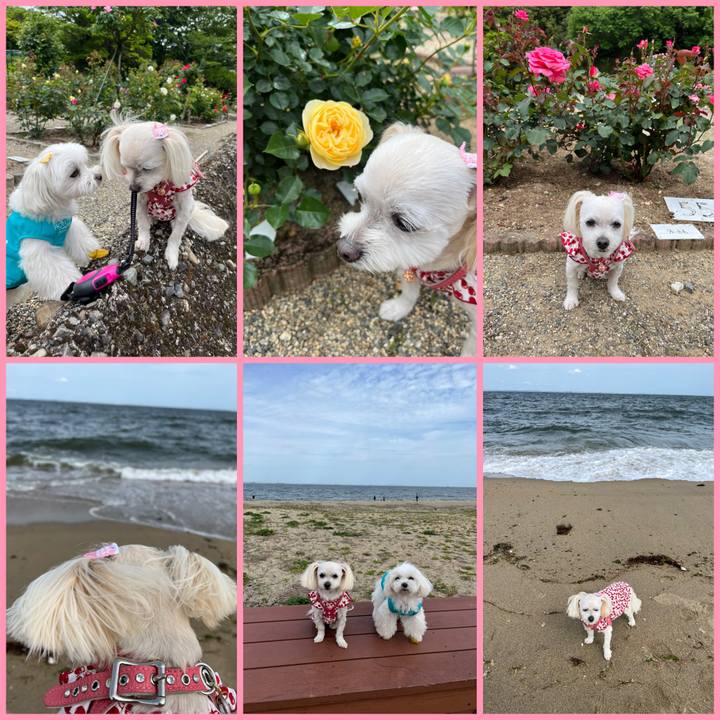 A19c59a5 ad6a 4198 95fe 4145a0e47eb4 1683269926016