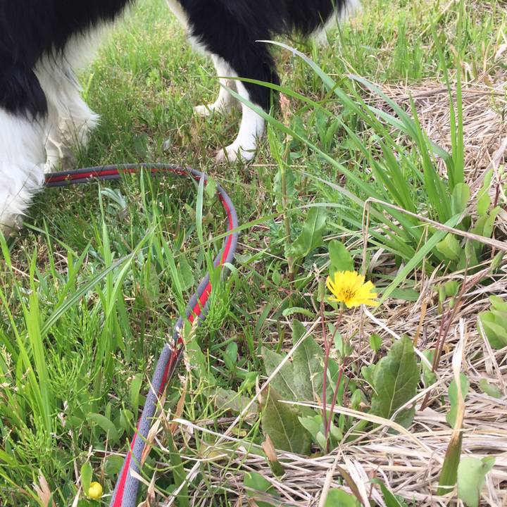 A19c60cd 8486 4740 962c a735590b758f 1586216401058