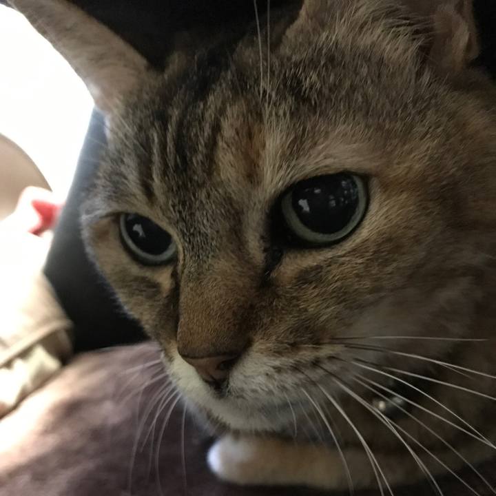 A19c7658 ff3d 467d 88ee 0a23e057f1f1 1508707997748