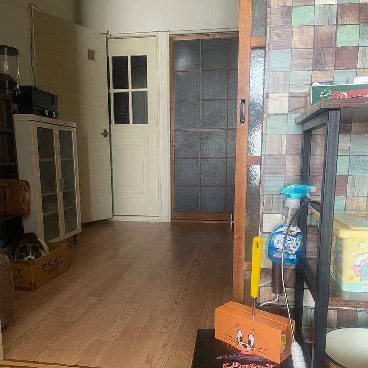 A19c9c09 e497 4c15 89e1 981989ae0338 1737355307001