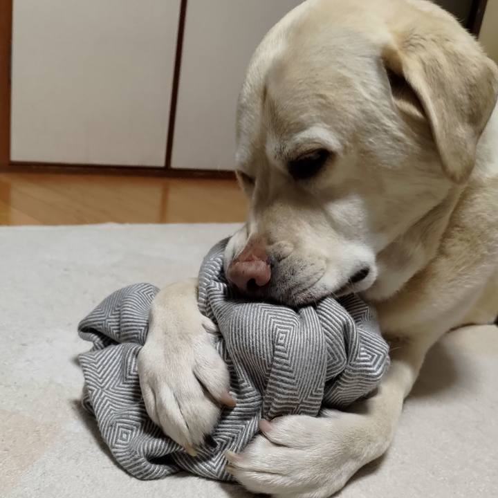 A19cb414 3dd7 4595 bd4d 7bfc25fee9a9 1706271248982