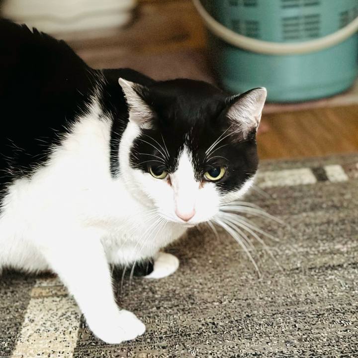 A19cf3f7 2ec4 4253 a45b 5f78403b76da 1664414677962