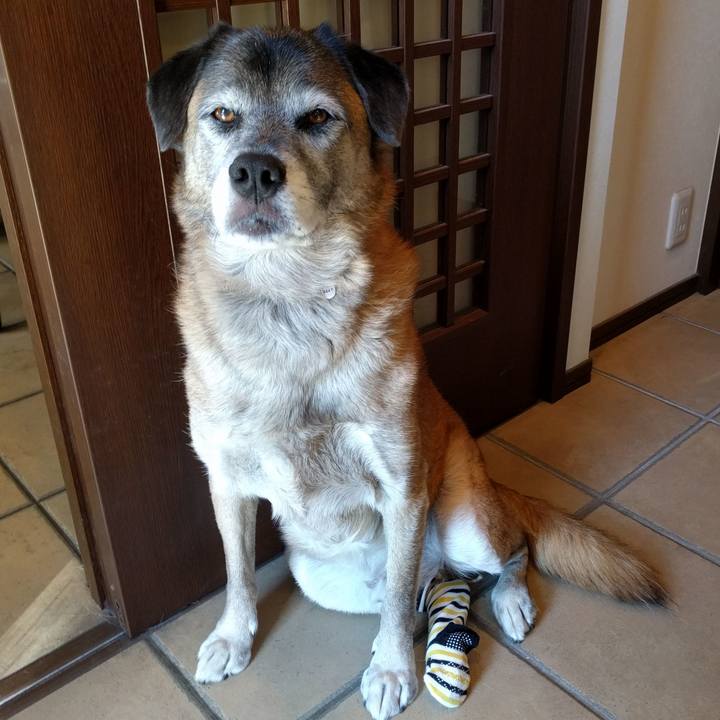 A19cf63e 48ba 4802 ab22 d441d580916b 1540871900022