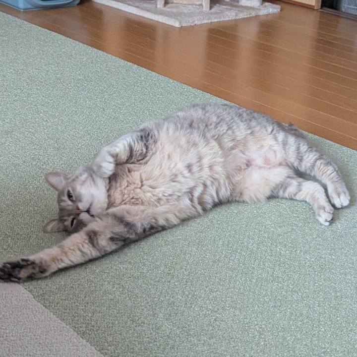 A19d137f d39a 4626 8adc 06260d2c4981 1769004649022