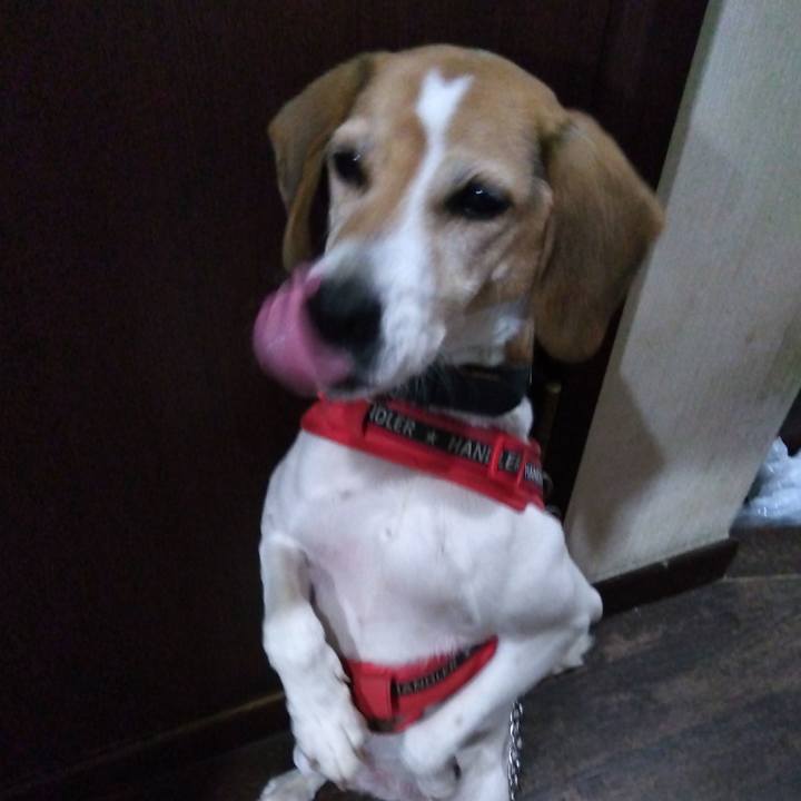 A19d4886 0b80 43dc 8078 7fc573beb20e 1703080958625