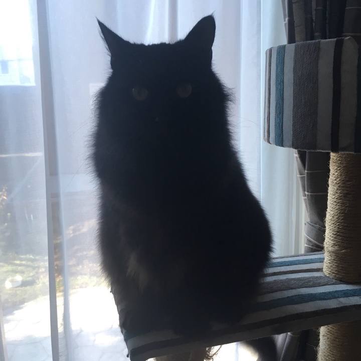 A19d4a94 30a4 4b71 a0f2 35b53bdb813f 1571614765285