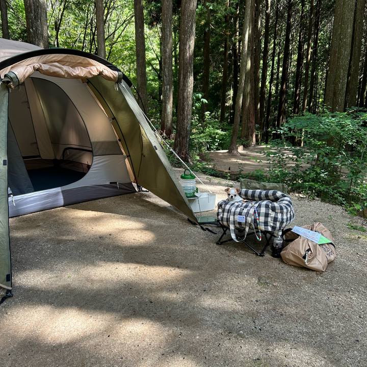 A19d5230 f5e2 4f3b 80ab ea8ca558e606 1757939647696