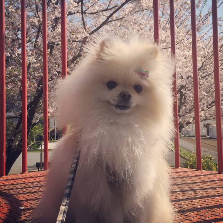 A19d92e5 0042 41f0 8e5d f7911eb17157 1585889855572