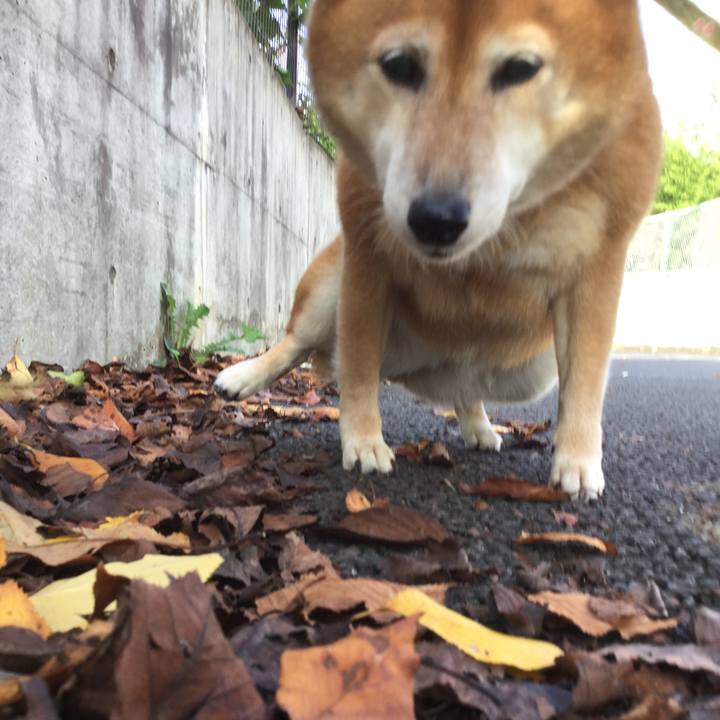 A19dcde9 5b61 49c9 ab97 44e564497ea7 1601682288720