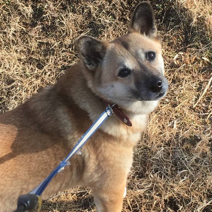 A19dd83c a3a8 47f4 89c5 47490650e8fd 1516361549644