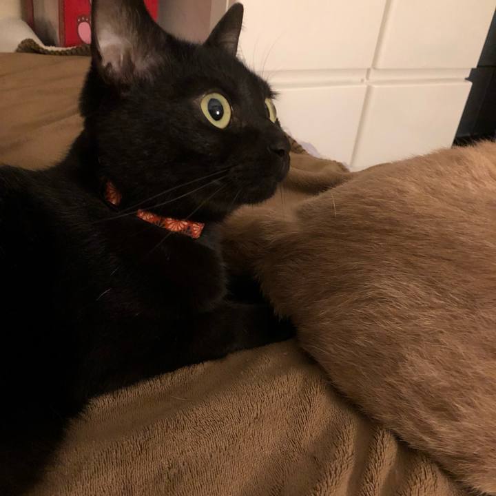 A19e289d 366a 44d4 a78a c8fa11d417de 1560253638703